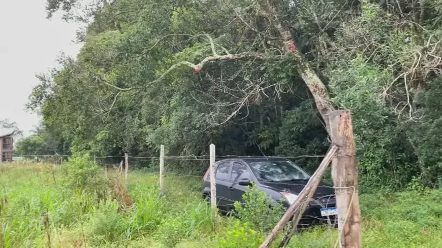 Foto 1 de Fazenda/Sítio com 1 Quarto à venda, 4m² em Zona Rural, Torres