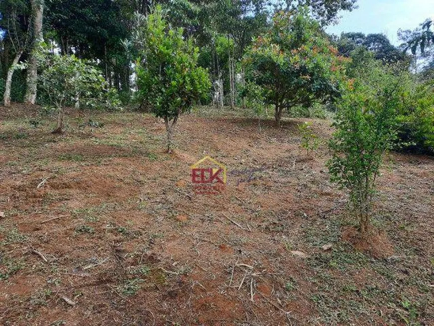 Foto 1 de Lote/Terreno à venda, 3033m² em Centro, Taubaté