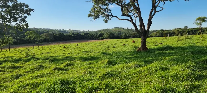 Foto 1 de Lote/Terreno à venda, 20000m² em Centro, São Gonçalo do Pará