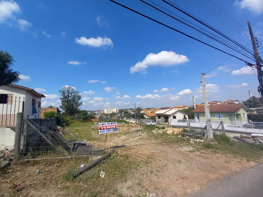 Foto 1 de Lote/Terreno à venda, 444m² em Santo Antônio, Criciúma