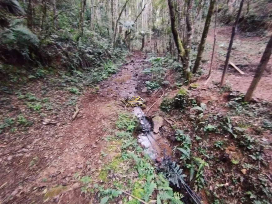 Foto 1 de Fazenda/Sítio com 1 Quarto à venda, 45375m² em Bateias, Campo Largo