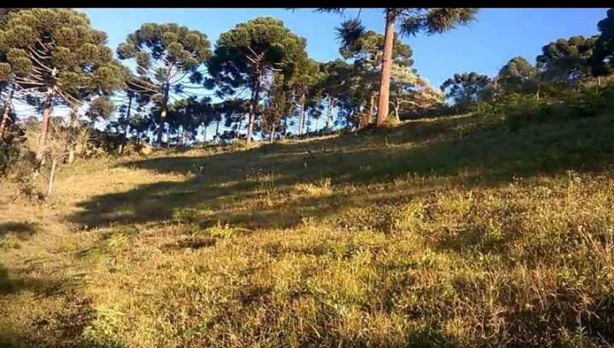 Foto 1 de Fazenda/Sítio à venda, 63400m² em Zona Rural, Delfim Moreira