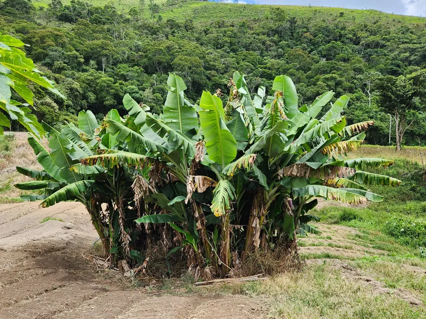 Foto 1 de Fazenda/Sítio com 1 Quarto à venda, 10000m² em Campo Limpo, Teresópolis