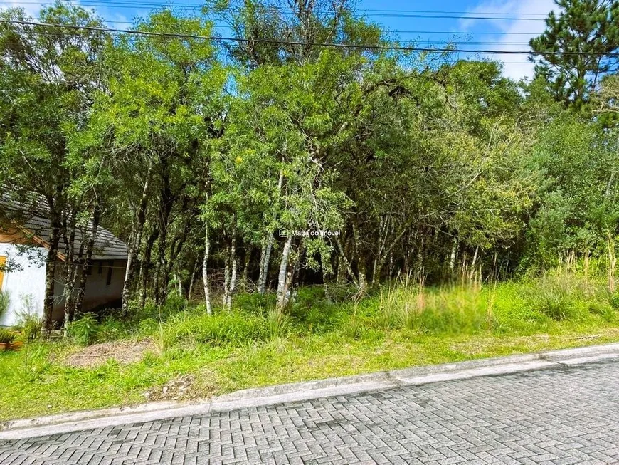 Foto 1 de Lote/Terreno à venda, 360m² em Vivendas do Arvoredo, Gramado