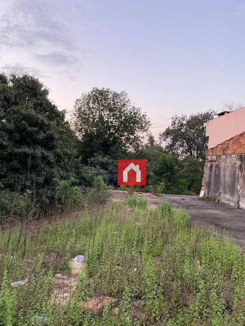 Foto 1 de Lote/Terreno à venda, 390m² em Bom Jesus, Santa Cruz do Sul