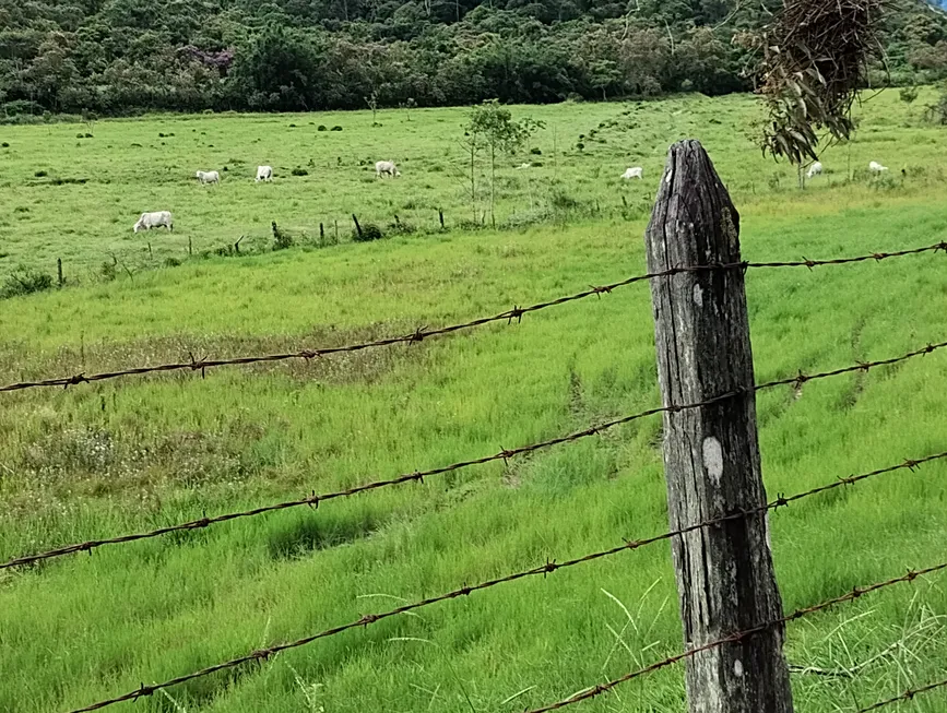 Foto 1 de Fazenda/Sítio com 2 Quartos à venda, 1500000m² em Imbau, Silva Jardim