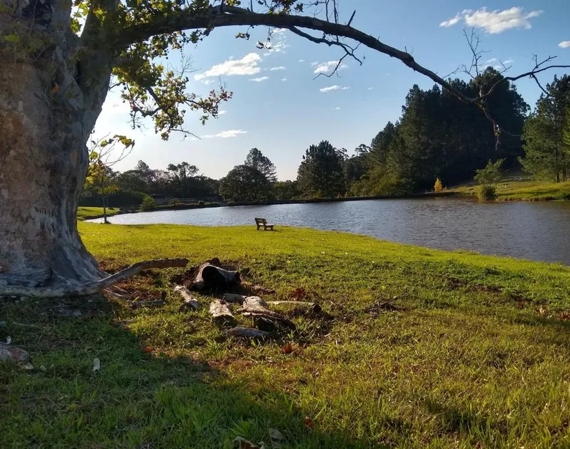 Foto 1 de Lote/Terreno à venda, 1000m² em Lomba Grande, Novo Hamburgo