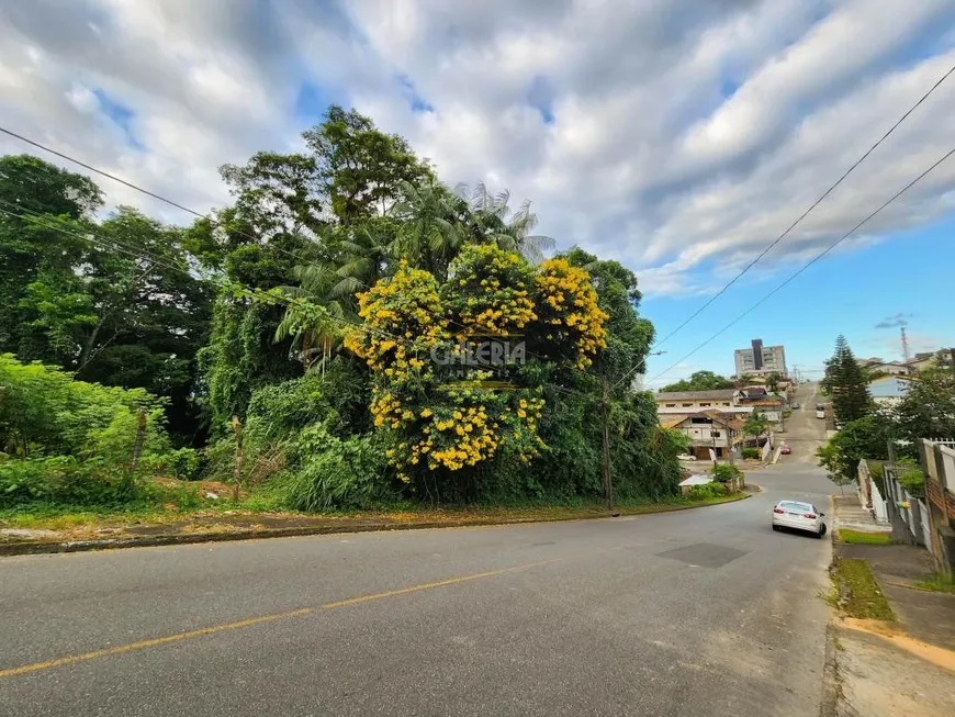 Foto 1 de Lote/Terreno à venda, 483m² em Floresta, Joinville