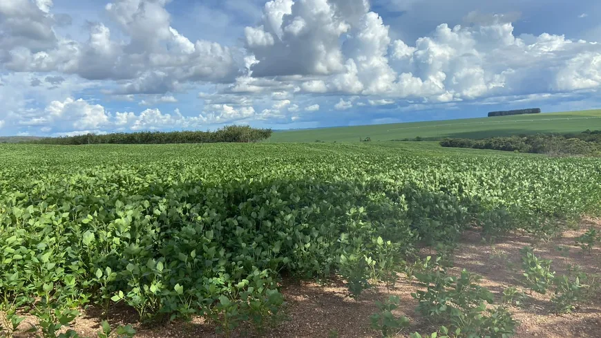 Foto 1 de Fazenda/Sítio com 7 Quartos à venda em , Campo Alegre de Goiás