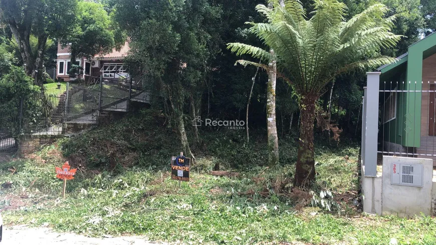 Foto 1 de Lote/Terreno à venda, 504m² em Palace Hotel, Canela