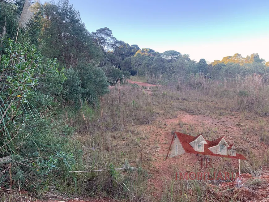 Foto 1 de Fazenda/Sítio com 1 Quarto à venda, 9700m² em Area Rural de Sao Jose dos Pinhais, São José dos Pinhais