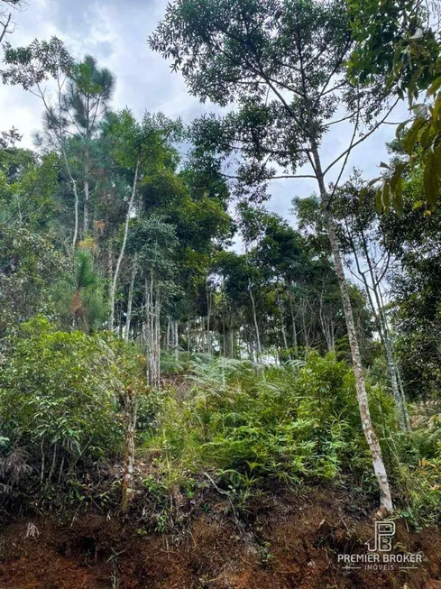 Foto 1 de Lote/Terreno à venda, 1120m² em Parque do Imbuí, Teresópolis