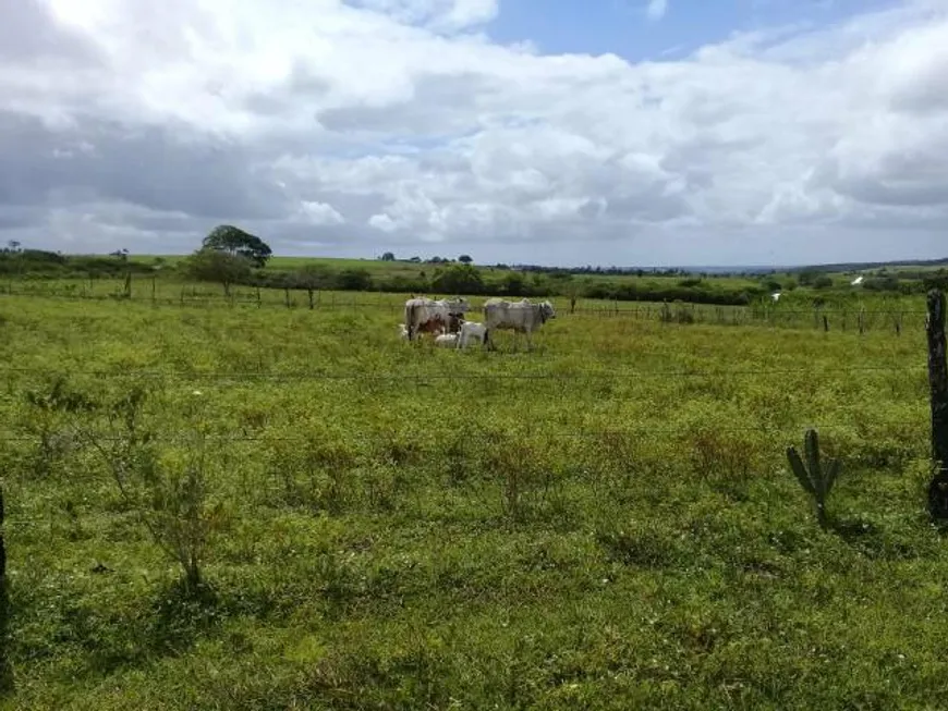 Foto 1 de Fazenda/Sítio com 4 Quartos à venda, 320000m² em Centro, Lagoa de Pedras