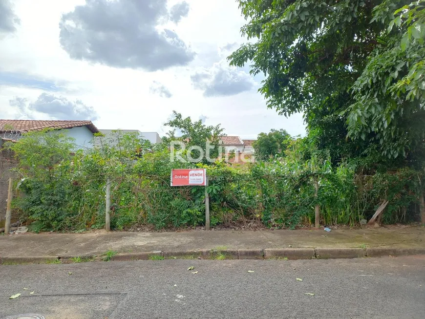 Foto 1 de Lote/Terreno à venda, 330m² em Segismundo Pereira, Uberlândia