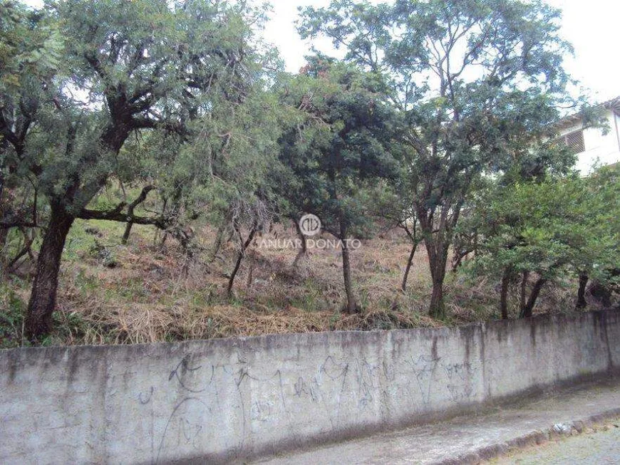 Foto 1 de Lote/Terreno à venda, 900m² em Mangabeiras, Belo Horizonte