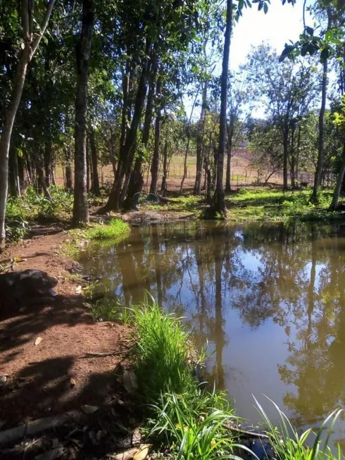 Foto 1 de Fazenda/Sítio com 2 Quartos à venda, 140m² em Zona Rural, Cravinhos