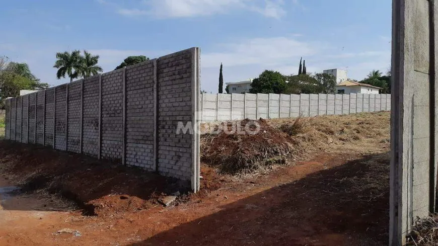 Foto 1 de para alugar, 1000m² em Cidade Jardim, Uberlândia