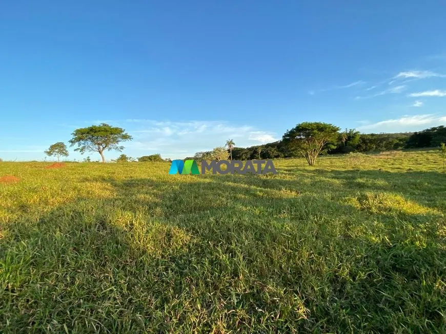 Foto 1 de Fazenda/Sítio com 1 Quarto à venda, 2195m² em Zona Rural, Baldim