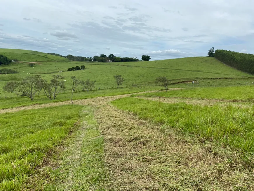 Foto 1 de Lote/Terreno à venda, 500m² em Jardim Presidente Dutra, Guarulhos