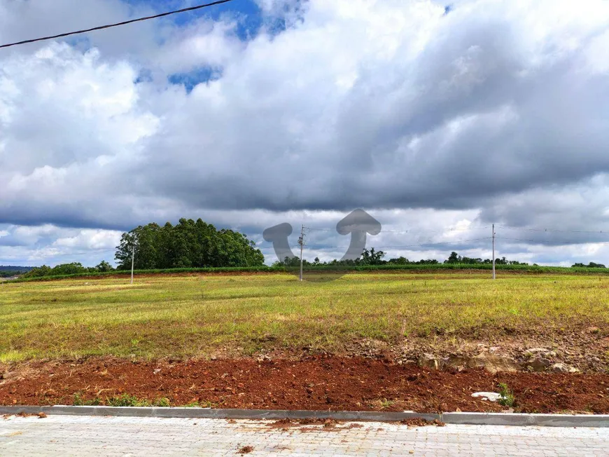 Foto 1 de Lote/Terreno à venda, 300m² em Linha Santa Cruz, Santa Cruz do Sul