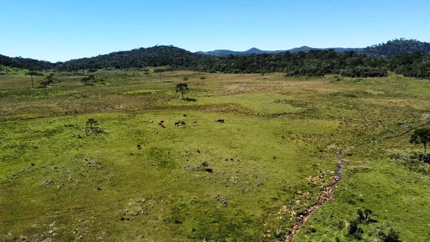 Foto 1 de Fazenda/Sítio à venda, 160000m² em Centro, Urubici