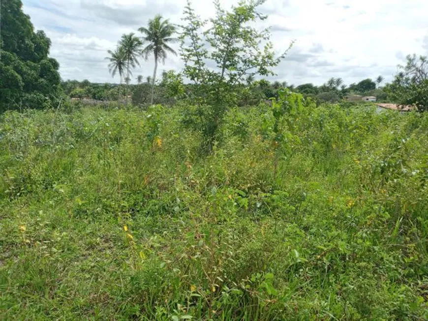 Foto 1 de Fazenda/Sítio com 4 Quartos à venda, 200000m² em Centro, São Gonçalo do Amarante