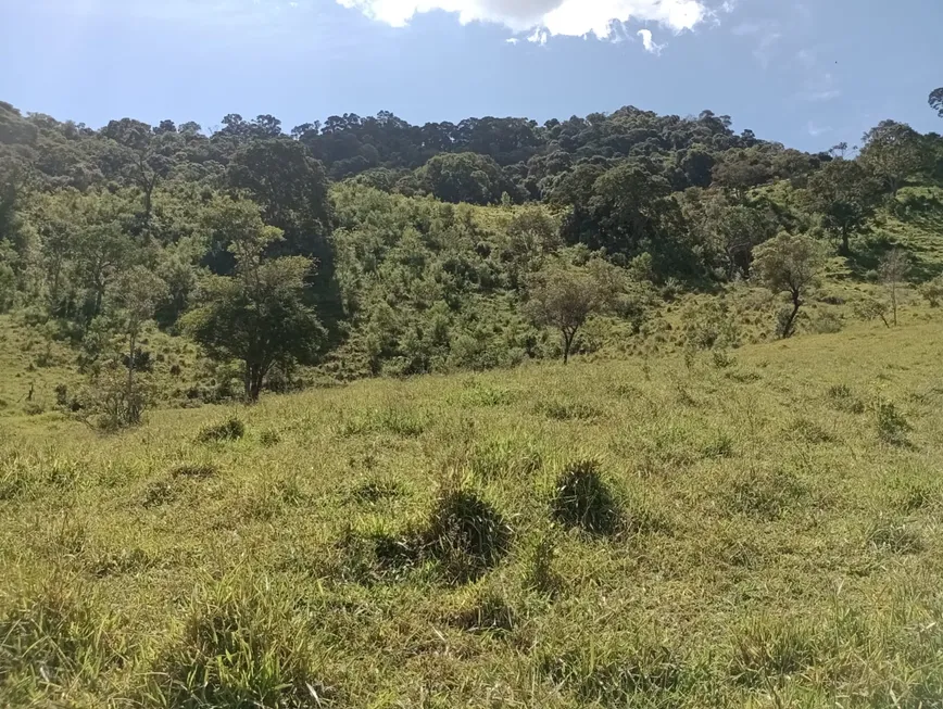 Foto 1 de Lote/Terreno à venda, 30000m² em Centro, Extrema