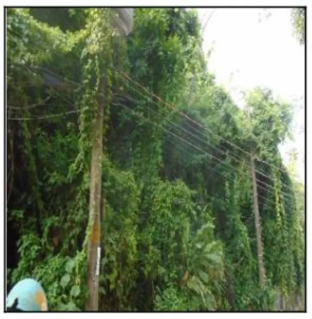 Foto 1 de Lote/Terreno à venda, 424m² em Gávea, Rio de Janeiro