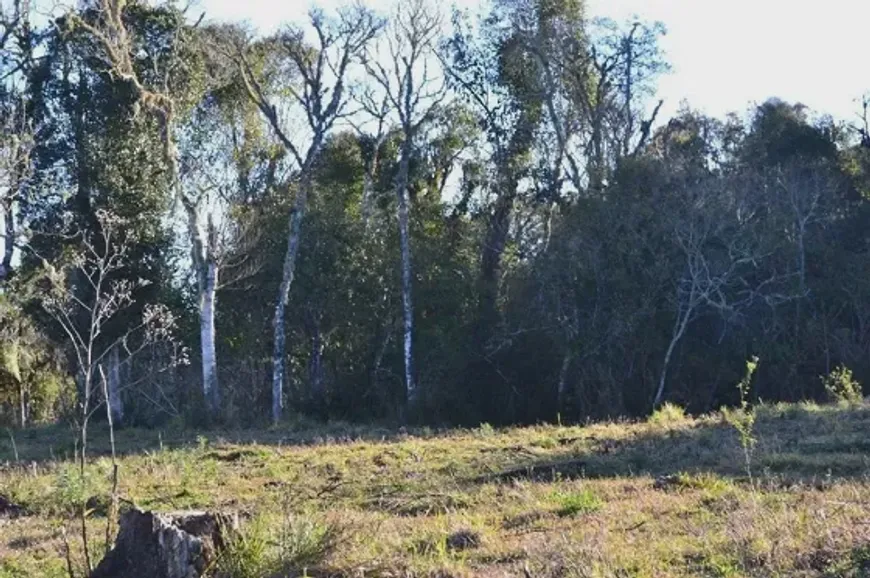 Foto 1 de Fazenda/Sítio à venda em Santa Tereza, Urubici