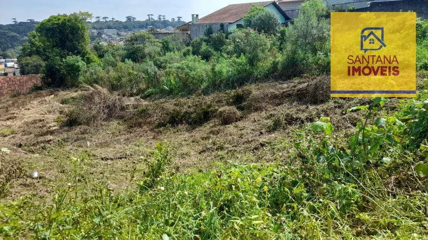 Foto 1 de Lote/Terreno à venda, 785m² em Vila Nossa Senhora do Carmo, Campo Largo