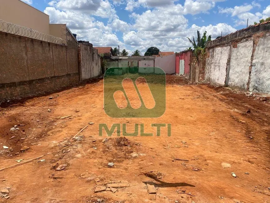 Foto 1 de Lote/Terreno com 1 Quarto à venda, 223m² em Custódio Pereira, Uberlândia