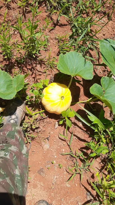 Foto 1 de Lote/Terreno à venda, 20000m² em Zona Rural, Fortuna de Minas