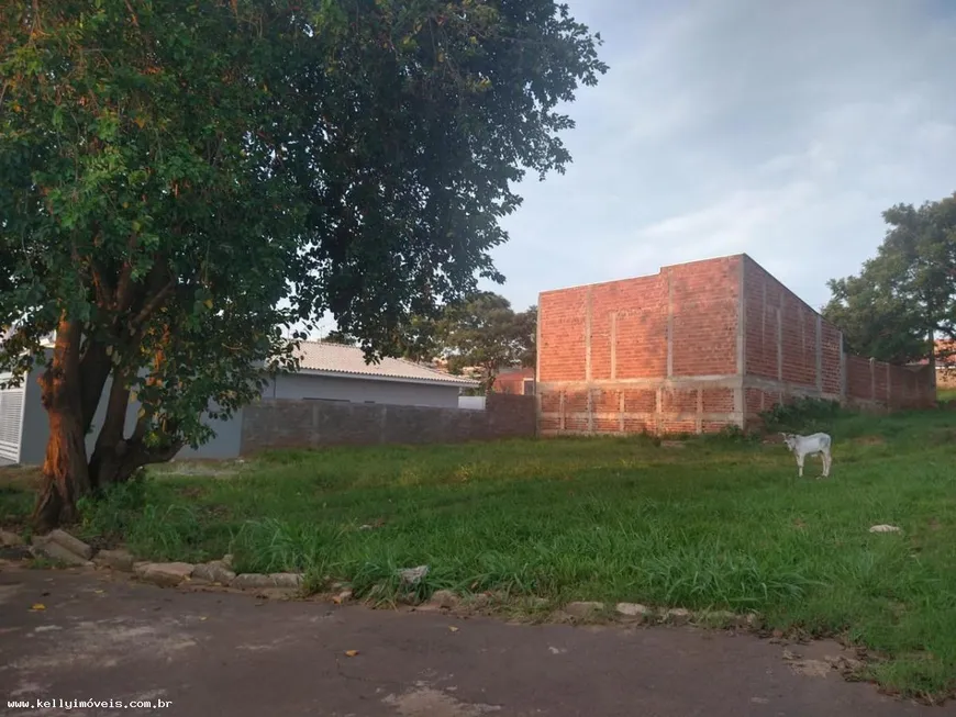 Foto 1 de Lote/Terreno à venda, 200m² em , Alfredo Marcondes