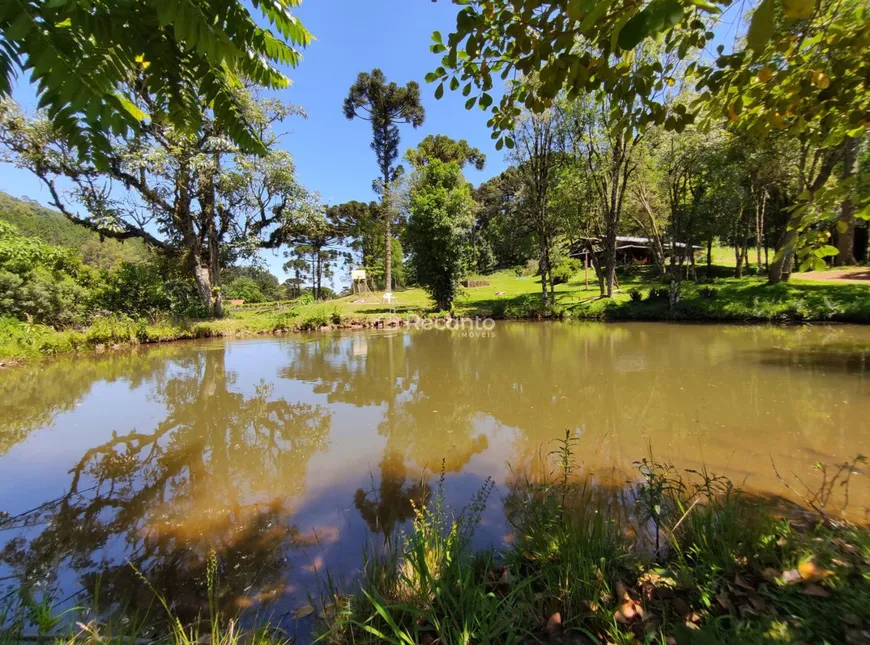 Foto 1 de Fazenda/Sítio à venda, 30200m² em , Gramado