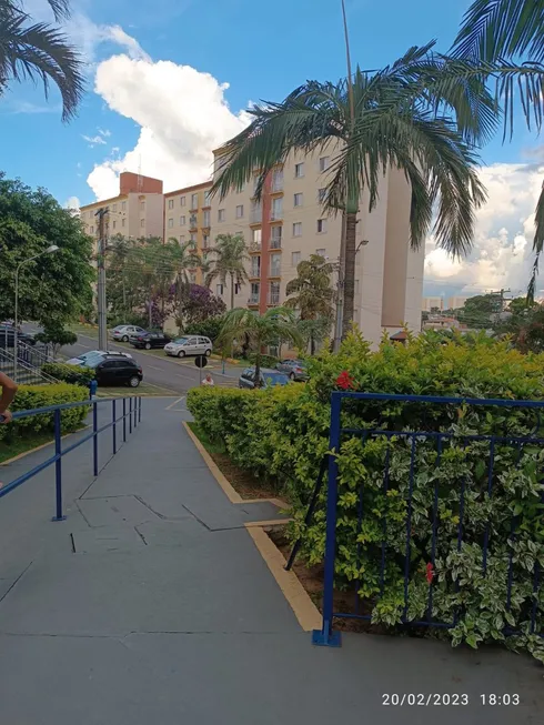 Foto 1 de Apartamento com 3 Quartos à venda, 68m² em Jardim dos Oliveiras, Campinas