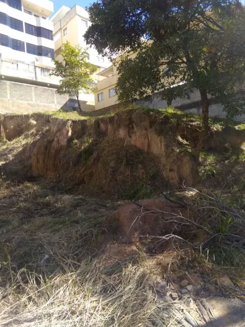 Foto 1 de Lote/Terreno com 1 Quarto à venda, 420m² em Castelo, Belo Horizonte