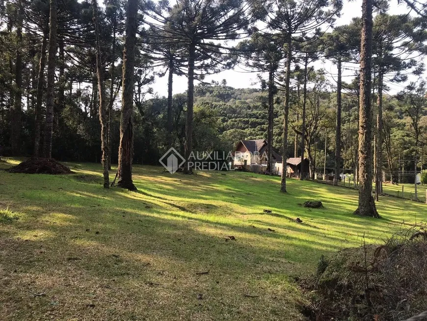 Foto 1 de Lote/Terreno à venda, 750m² em Caracol, Canela