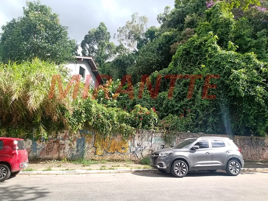 Foto 1 de Lote/Terreno à venda, 580m² em Horto Florestal, São Paulo