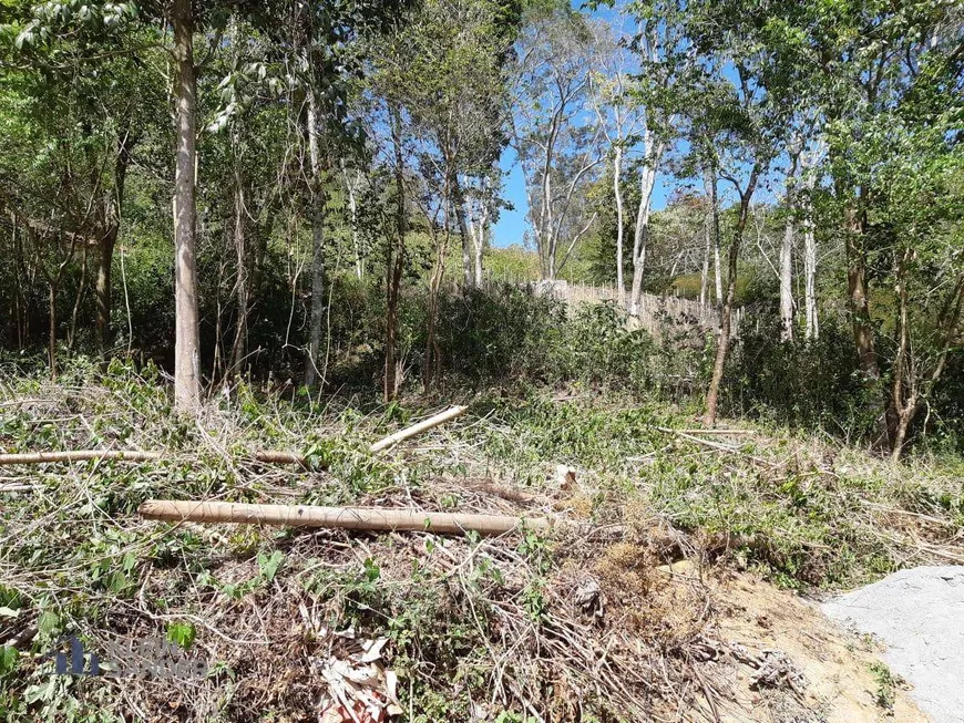 Foto 1 de Lote/Terreno à venda, 585m² em Cônego, Nova Friburgo