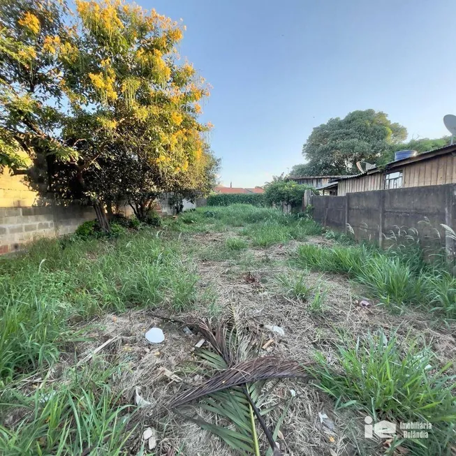 Foto 1 de Lote/Terreno à venda, 225m² em Vila Oliveira, Rolândia