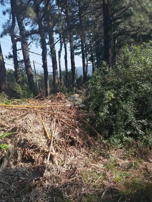 Foto 1 de Lote/Terreno à venda, 180495m² em Lomba do Pinheiro, Porto Alegre