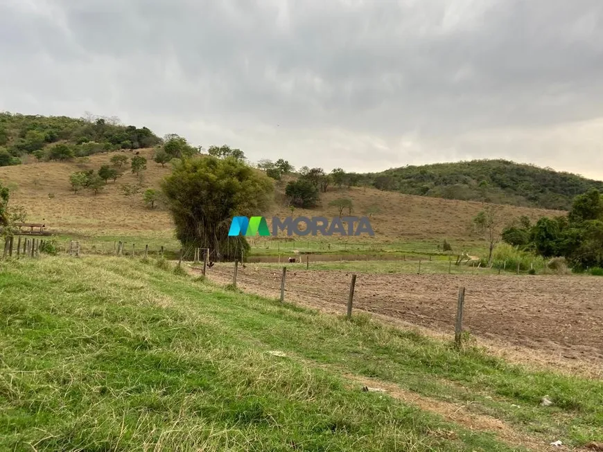 Foto 1 de Fazenda/Sítio com 1 Quarto à venda, 377m² em Zona Rural, Nova Serrana