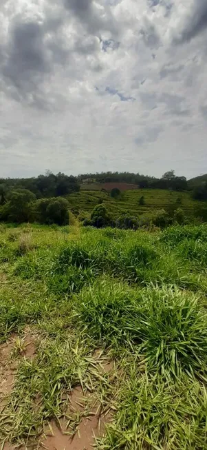 Foto 1 de Lote/Terreno à venda, 20000m² em Monte Alegre, Vinhedo