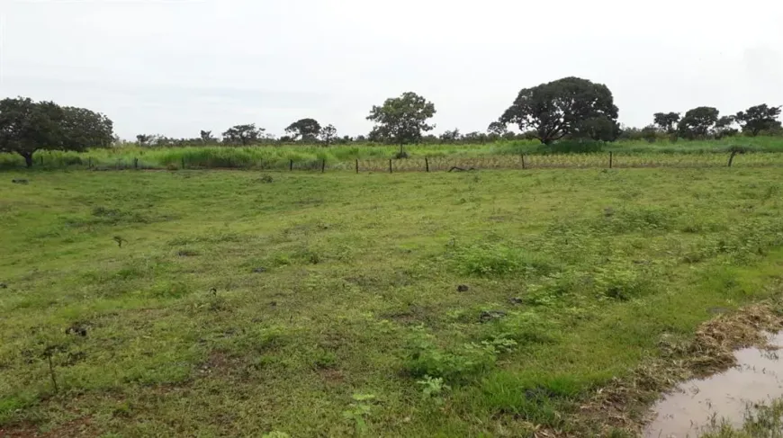 Foto 1 de Fazenda/Sítio com 4 Quartos à venda, 700m² em Zona Rural, Padre Bernardo