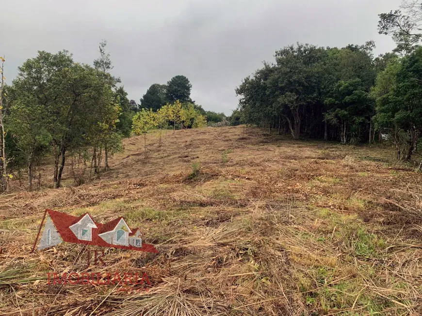 Foto 1 de Fazenda/Sítio com 1 Quarto à venda, 5000m² em Colonia Marcelino, São José dos Pinhais