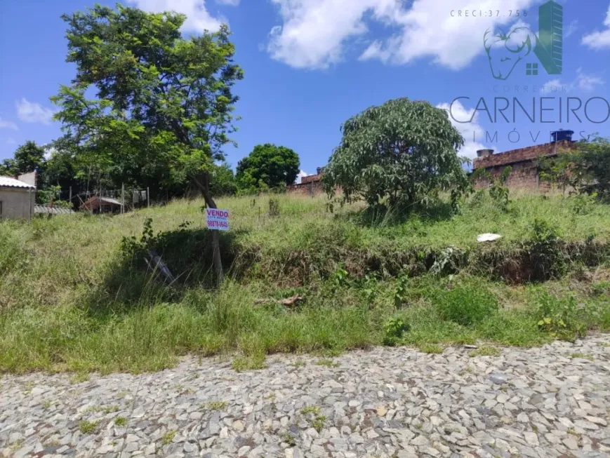 Foto 1 de Lote/Terreno à venda, 360m² em Rosaneves, Ribeirão das Neves