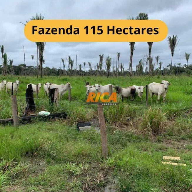 Foto 1 de Fazenda/Sítio à venda, 1150000m² em , Canutama