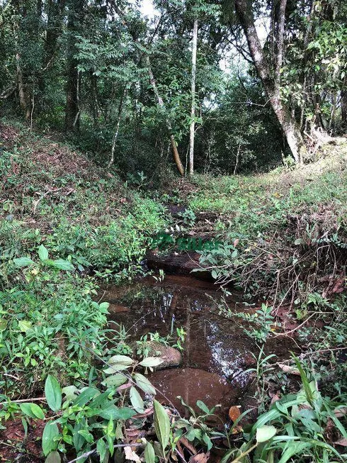 Foto 1 de Fazenda/Sítio à venda, 26000m² em Morungava, Gravataí