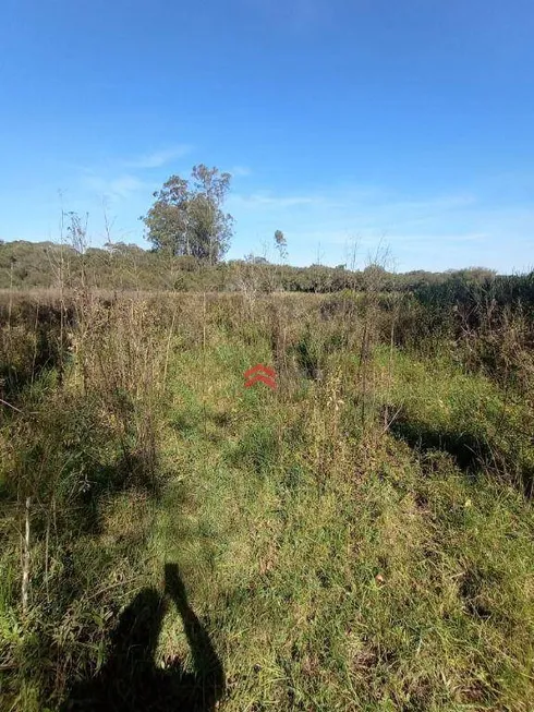 Foto 1 de Lote/Terreno à venda, 15229m² em Bairro do Carmo, São Roque