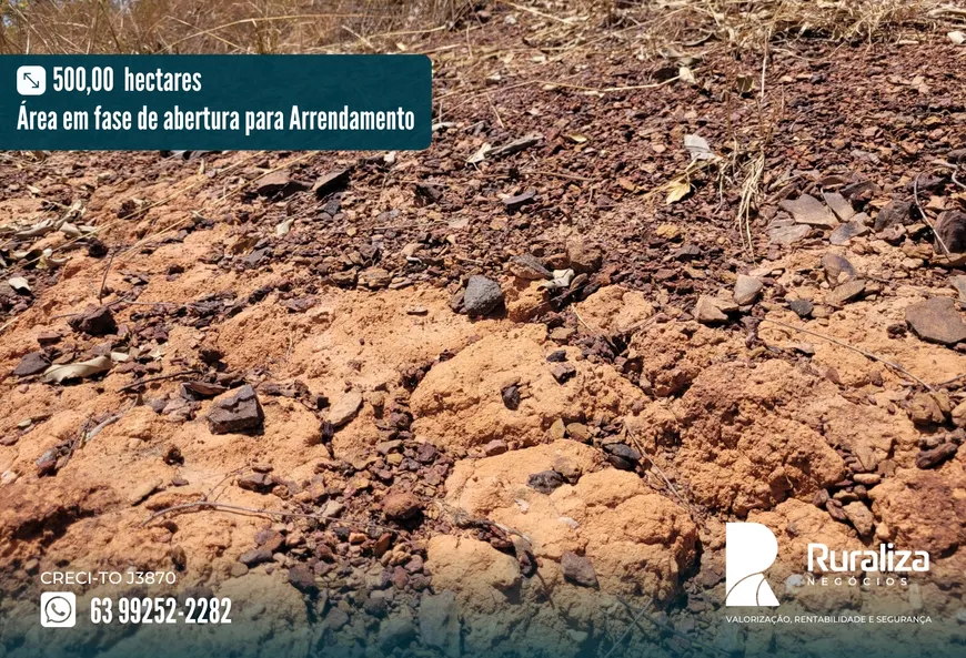 Foto 1 de Fazenda/Sítio para alugar, 460m² em Zona Rural, Lagoa do Tocantins